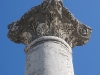turkey-030.jpg