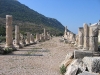 turkey-066.jpg