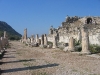 turkey-067.jpg